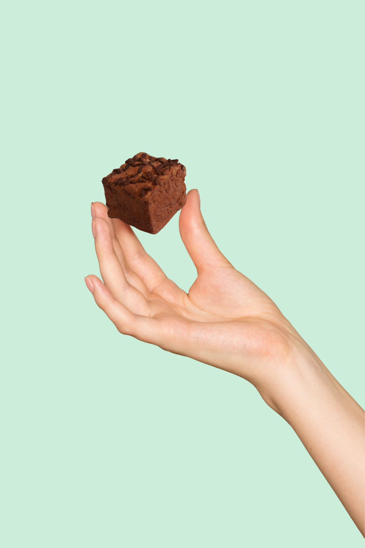Double Chocolate Marshmallows