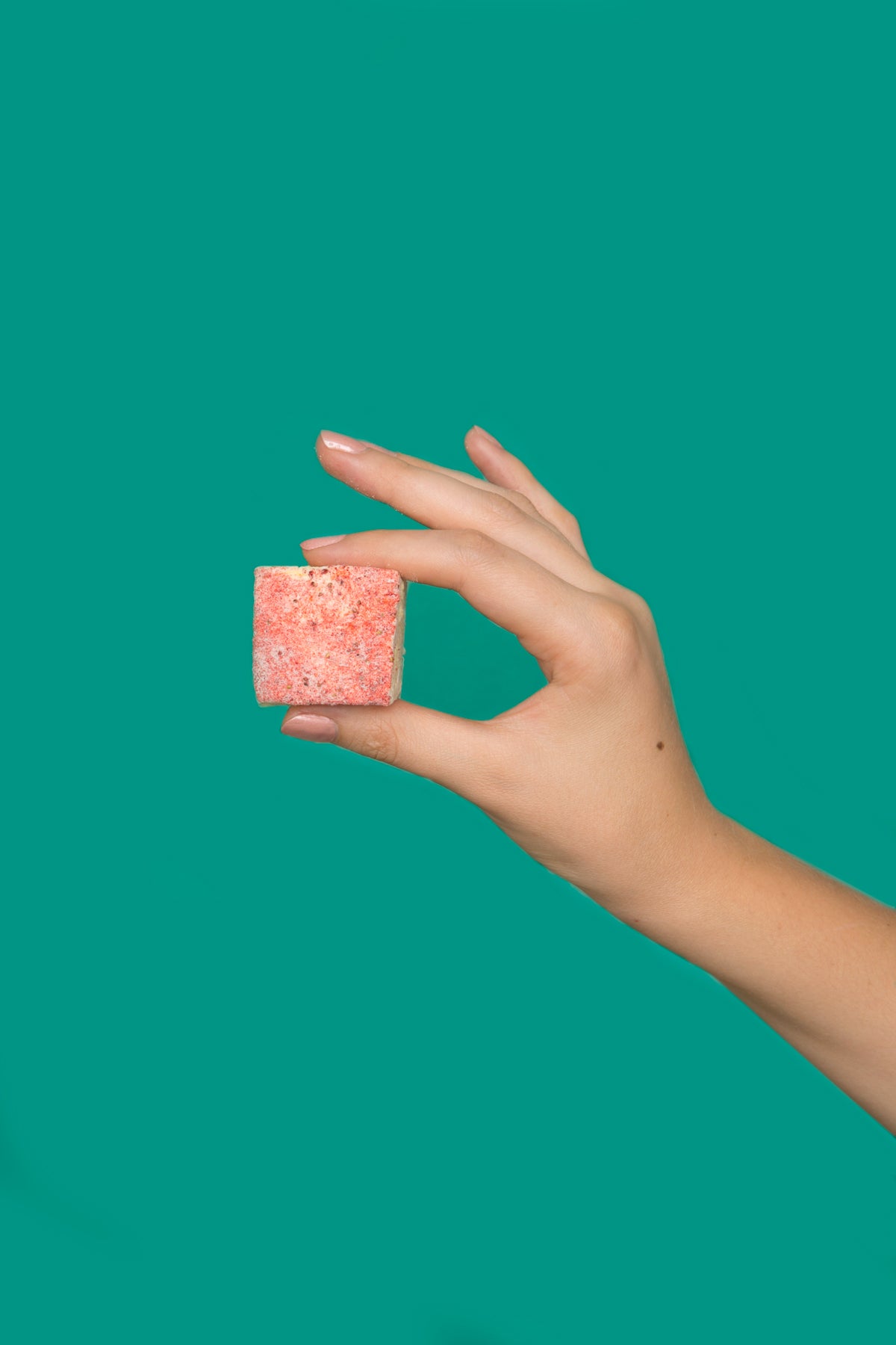 Marshmallow Sampler - Try all four Mallow Flavors - Comes Gift-Ready in Seasonal Box