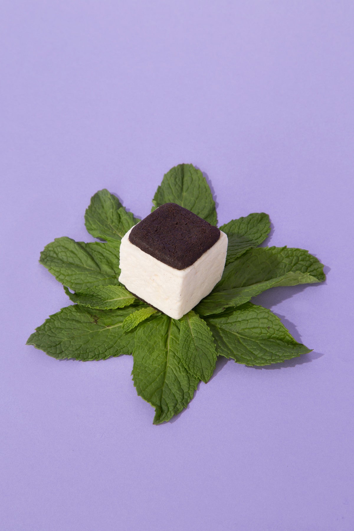 Peppermint Chocolate Malvi S'mores