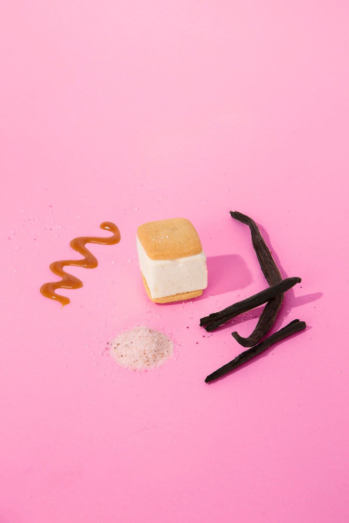 Vanilla Salted Caramel Malvi S'mores